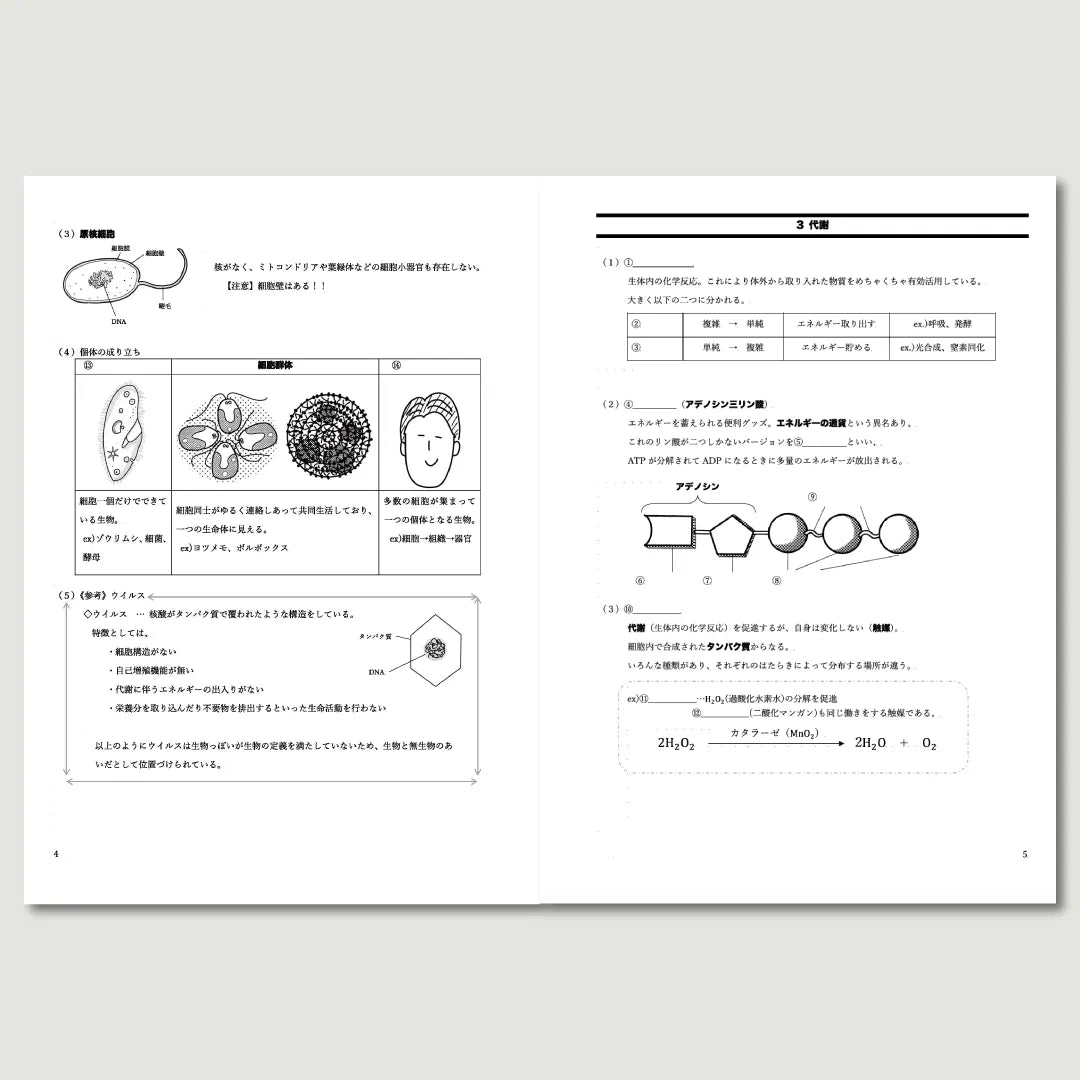 生物基礎
