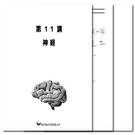 生物　データ版　【第11講：神経】