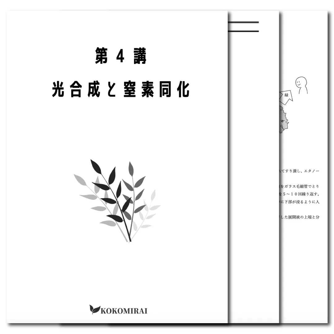 生物　データ版　【第４講：光合成と窒素同化】