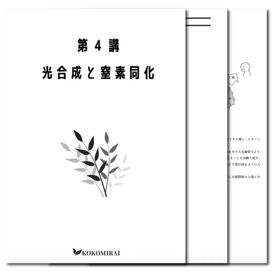 生物　データ版　【第４講：光合成と窒素同化】