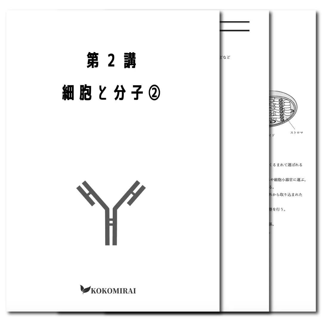 生物　データ版　【第２講：細胞と分子❷】