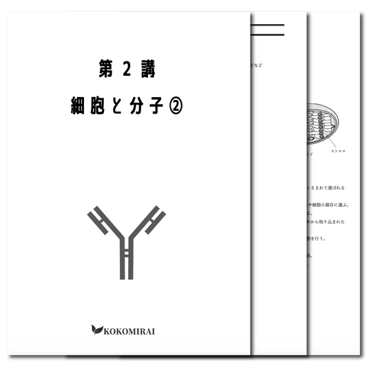 生物　データ版　【第２講：細胞と分子❷】