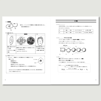 生物基礎