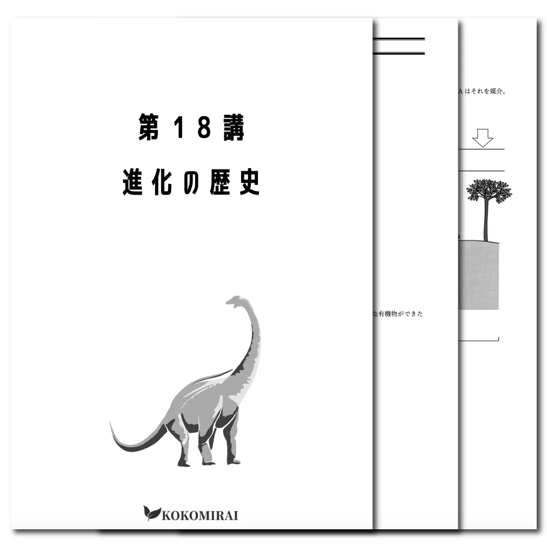 生物　データ版　【第18講：進化の歴史】