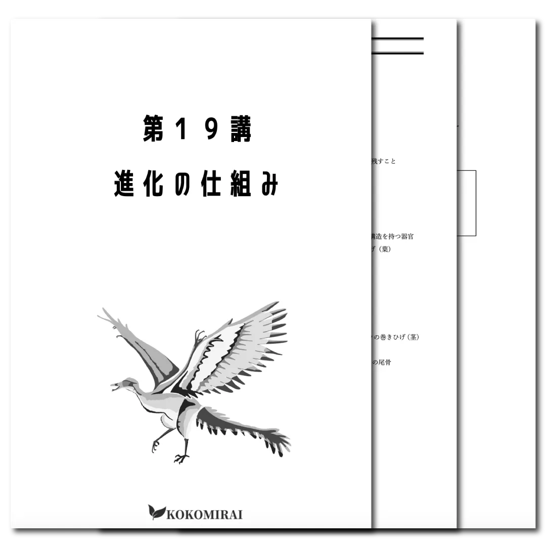 生物　データ版　【第19講：進化の仕組み】