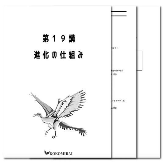 生物　データ版　【第19講：進化の仕組み】