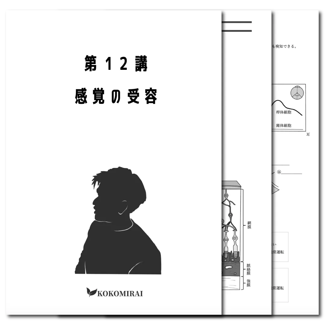 生物　データ版　【第12講：感覚の受容】