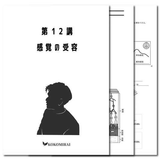 生物　データ版　【第12講：感覚の受容】