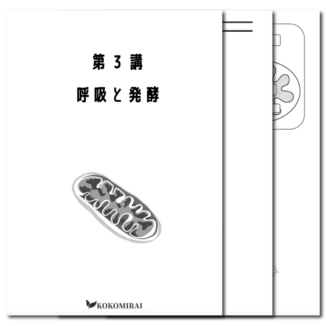 生物　データ版　【第３講：呼吸と発酵】