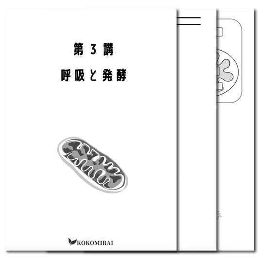 生物　データ版　【第３講：呼吸と発酵】